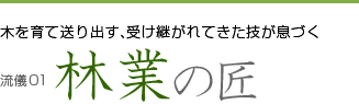 木を育て送り出す、受け継がれてきた技が息づく 流儀01 林業の匠