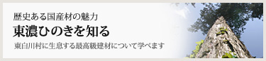 東白川村に生息する最高級建材について学べます 歴史ある国産材の魅力 東濃ひのきを知る