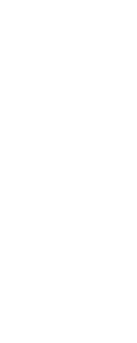 建材にふさわしい姿とは、まっすぐで均等な太さを保つこと。そのために、苗木は密集状態で植えられる。互いに競い天を目指して成長する幼いひのき。誰よりも上へ。良質な木に育とうとする。その力強さを引き出すのである。