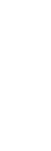 幹の太さ、葉の密度、背丈など。成長の鈍ったものを間引き、下層部に光を届ける。ここで残されるのは植林された苗木の約二割。言わば選りすぐりのエリートたち。一層の陽の光を受け成長の速度を早めていく。