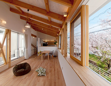 SAKURA