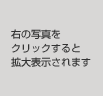 右の写真をクリックすると拡大表示されます