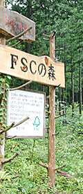FSCの森の写真